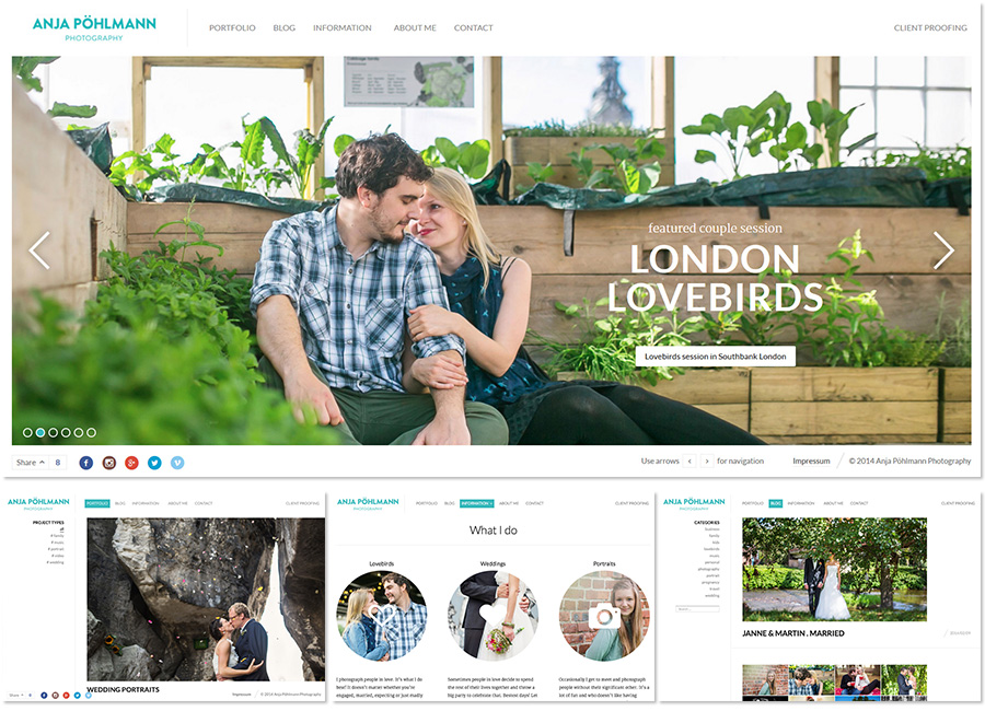 website excerpts