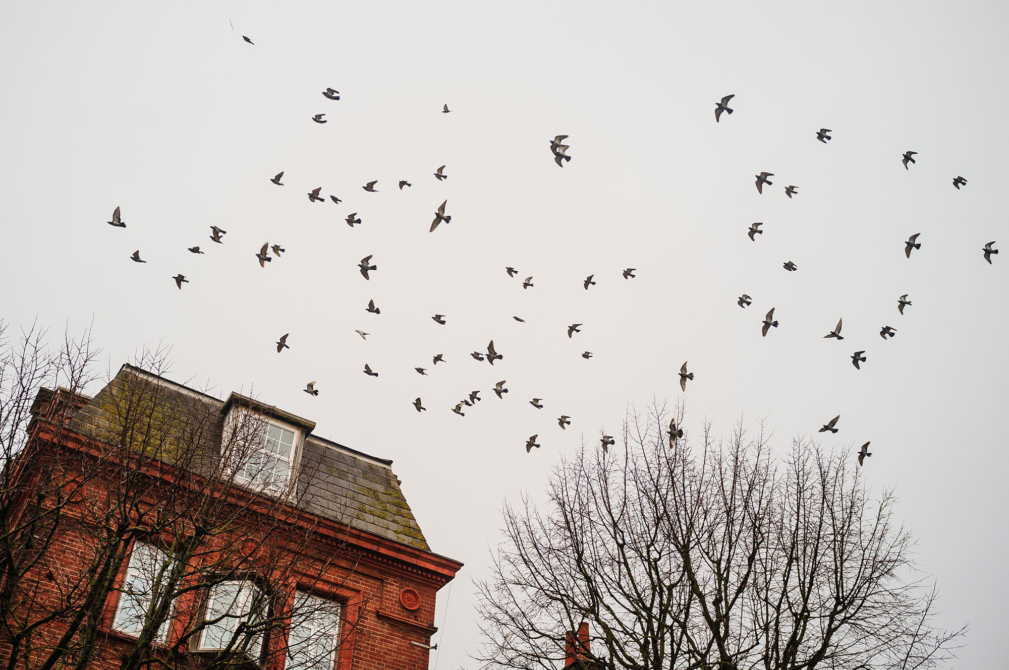 looking up in hove