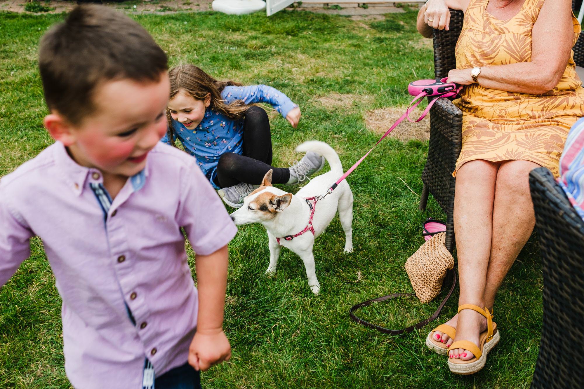 25 dogs and kids photography