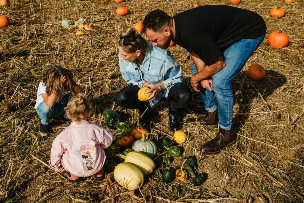 My top 7 things to do at Sompting Pumpkins