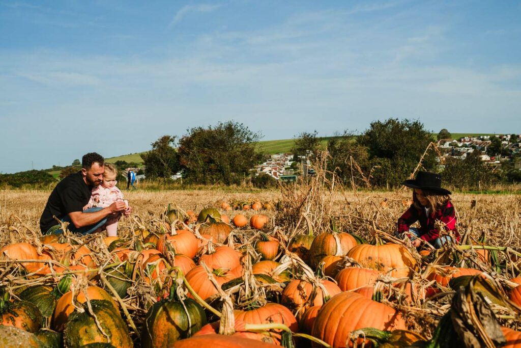 My top 7 things to do at Sompting Pumpkins