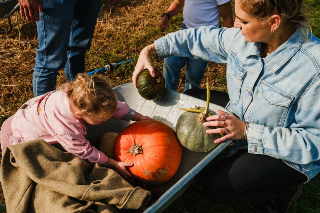 My top 7 things to do at Sompting Pumpkins