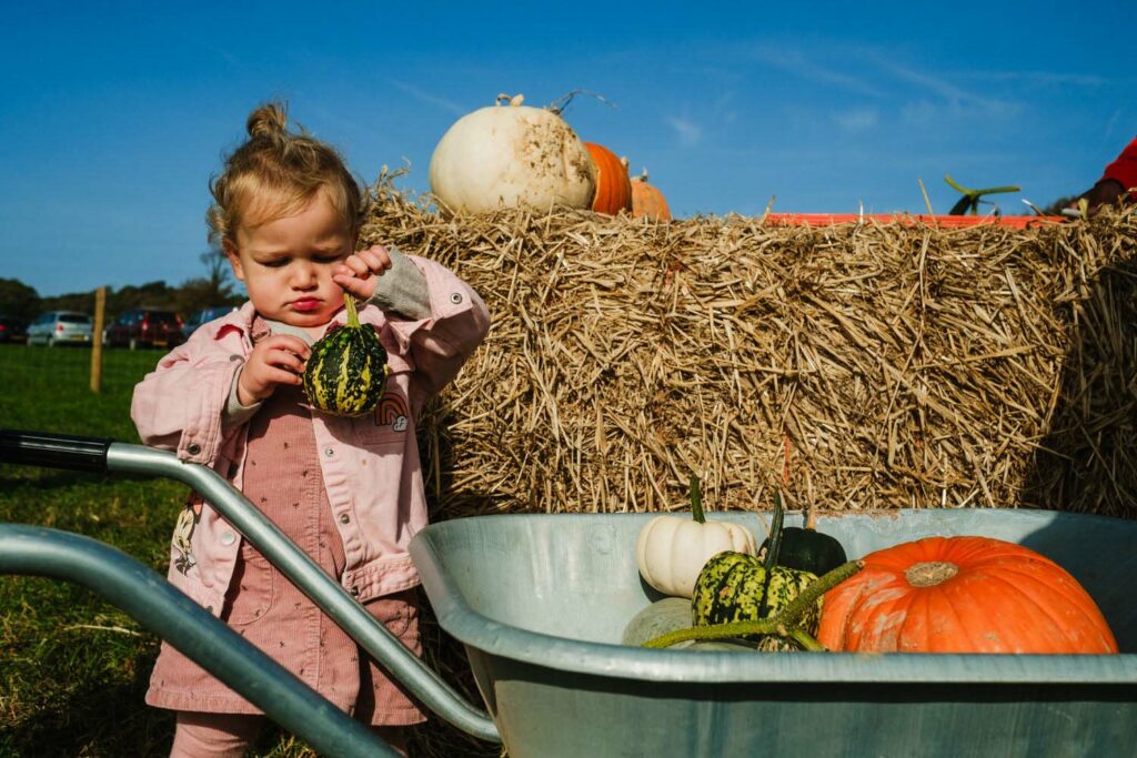 My top 7 things to do at Sompting Pumpkins