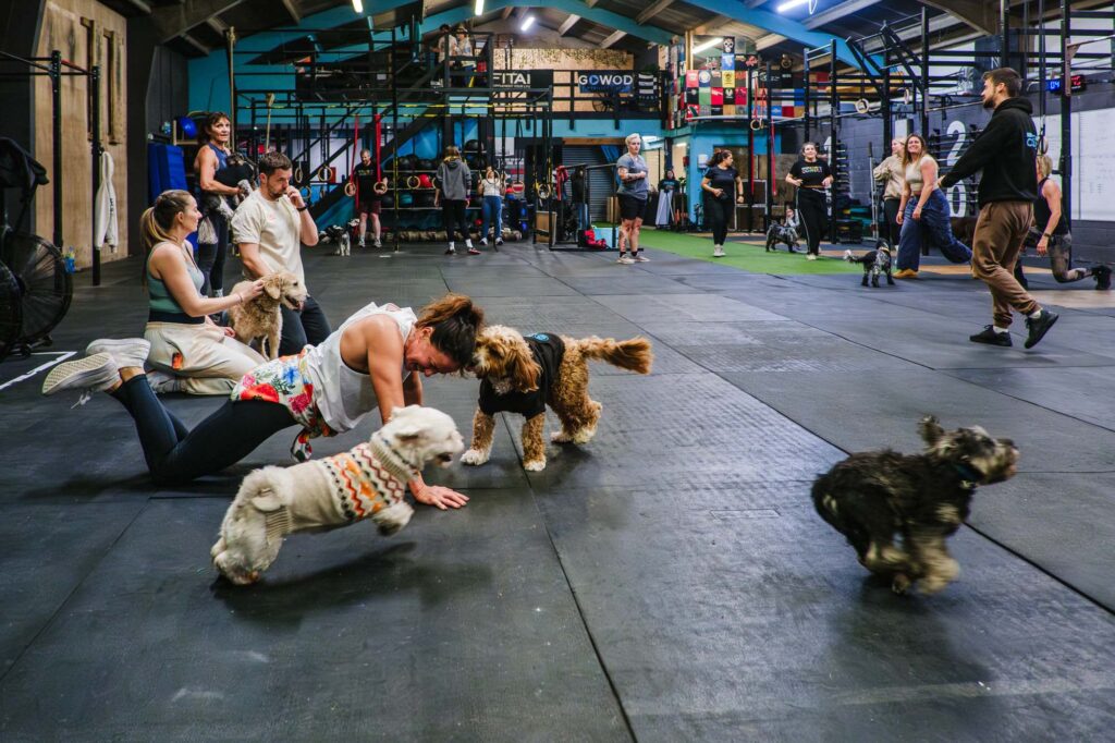 This image has an empty alt attribute; its file name is 25-crossfit-dog-workout-project-365-1024x682.jpg